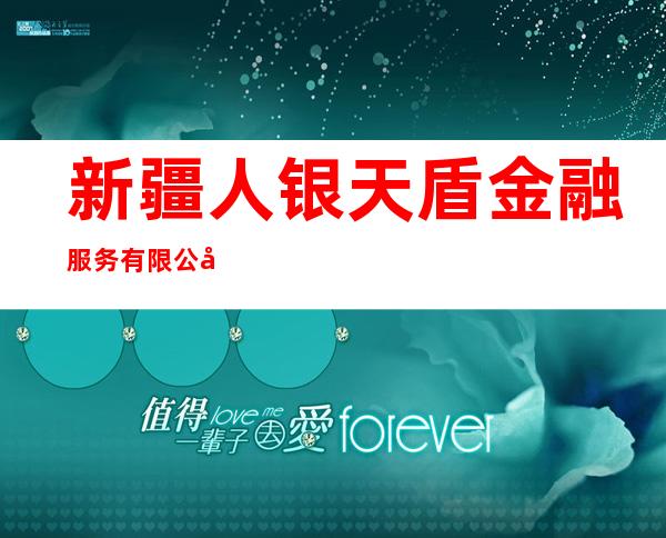 新疆人银天盾金融服务有限公司